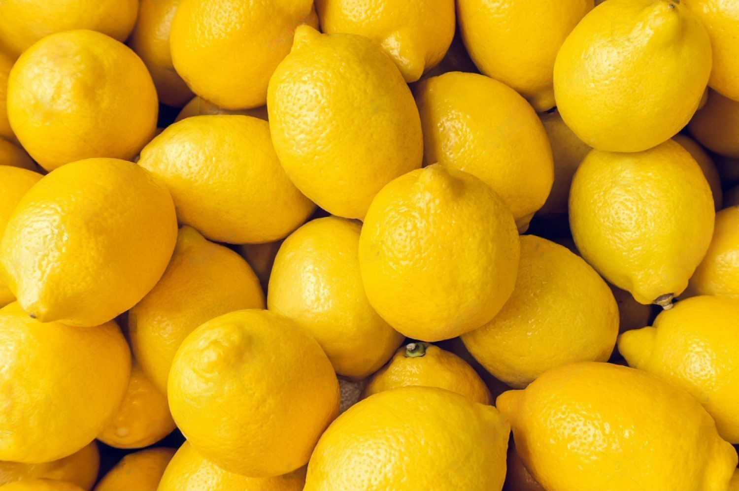 MIND BLOWING FACTS ABOUT LEMONS YOU PROBABLY DON' T KNOW ABOUT